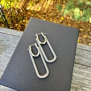 EXPRESS Elegant Silver and Gold Hoop Earrings